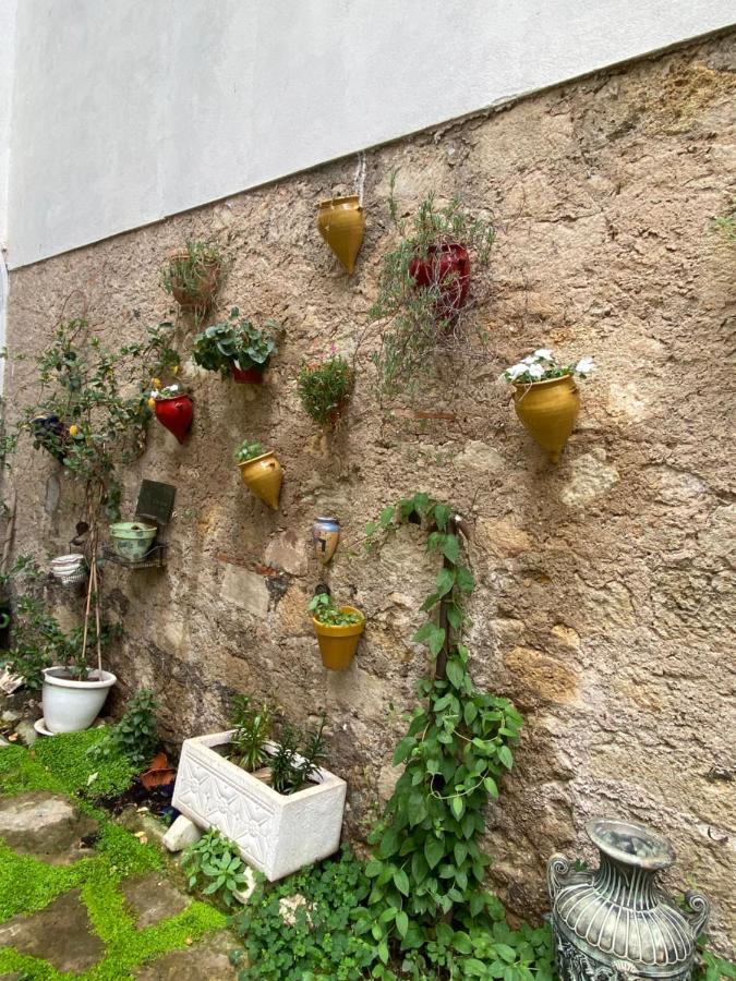 Villa Rosa Beziers Exterior photo